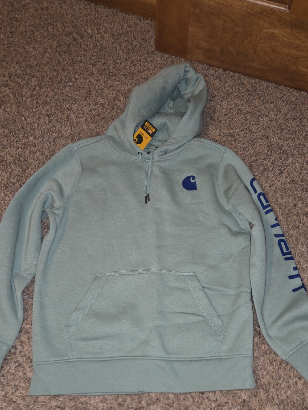Carhartt Light Green Blue Pullover Hoodie with Navy Logo and Sleeve Script